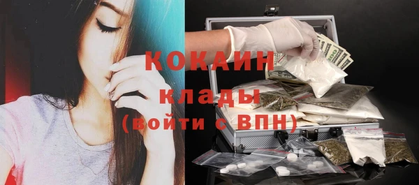 трава Белокуриха
