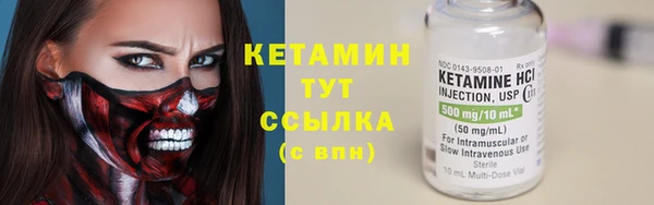 трава Белокуриха