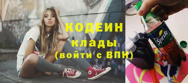 трава Белокуриха