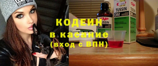 трава Белокуриха