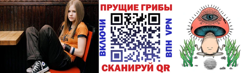 Псилоцибиновые грибы Cubensis  Бузулук 